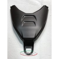 Carbonvani - Ducati Streetfighter V4 / S Carbon Fiber Bottom Tail
